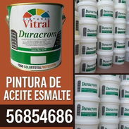 Pintura de aceite o esmalte - Img 55166810