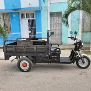 Carrito eléctrico - Img 56195052