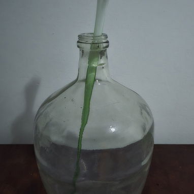 Flor de murano - Img 119046018