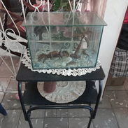 Vendo pecera - Img 56601039