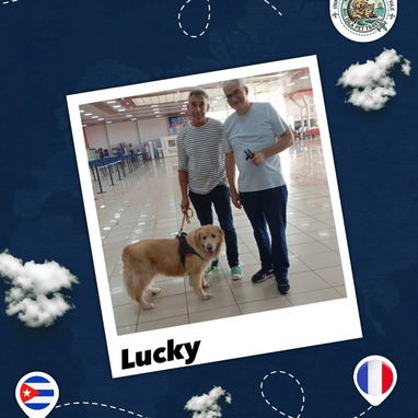 Agencia de viajes de mascota internacional - 3/10