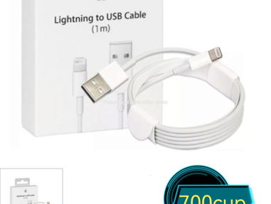 Cable de carga y datos para iPhone - Img main-image-45806152