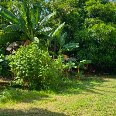 Casa estilo finca en Boyeros - 10/10