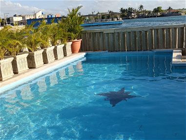 Renta piscina agua salada  en Baracoa Habana - Img 66411176