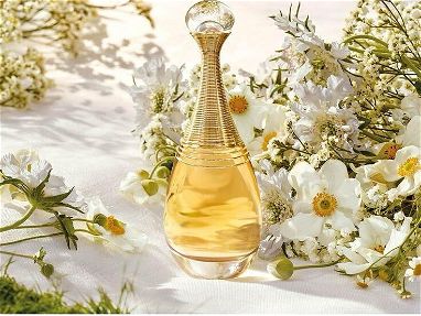 Perfumes ✅Originales✅ Dior - Loewe - Img 66054689