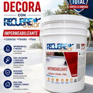 Pinturas vinil e impermeable - Img 56185875