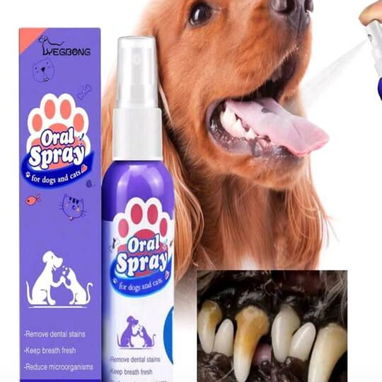 Higiene y Aseo para mascotas - Img 120214987