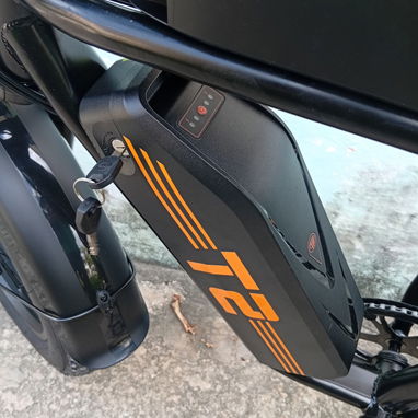 Bicicleta electrica - 4/5