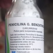 Penicilina bensatinica - Img 57669470