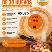 Incubadora de Huevos - Img 55802199