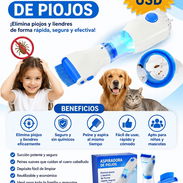 Todo para combatir los piojos - Img 55304974