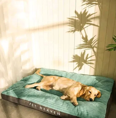 Camas Extra grande para Perros 🐕 🔴 - Img 72395481
