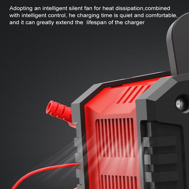 Cargador 12/24 volt Inteligente LiFePO4 Profdesional 20 Amp - Img 108277521