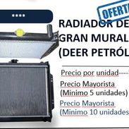 Radiador claria - Img 55773286