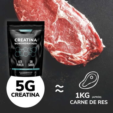 Creatina - 2/2