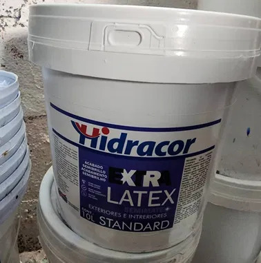 Pinturas importadas y de producción nacional buenos precios - Img 97102424