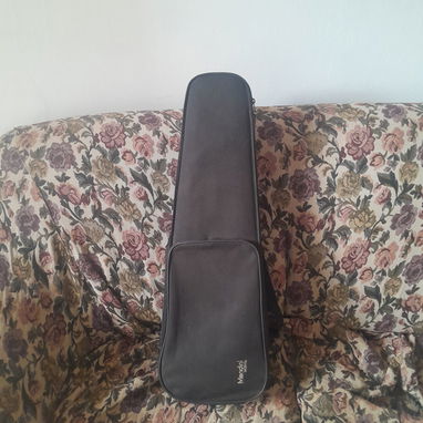 Violin - Img 122221517