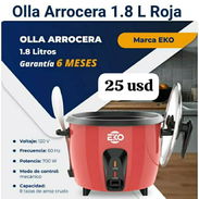 Arroceras - Img 54255917