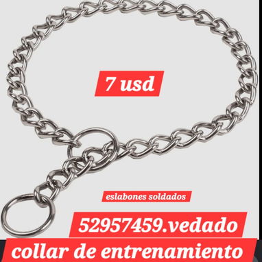 52957459.vedado pechera con correa - Img 123976201