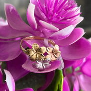 Personalizacion de anillos - Img 55874057