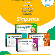 💊SIMPÁRICA (elimina pulgas y garrapatas) - Img 52572442