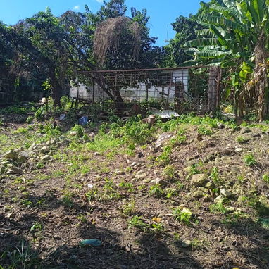 Alquiler de finca en Marianao - 5/10