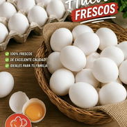 Cajones de Huevos por cantidad ($3010.00) $36,120 o 42 usd - Img 58444633