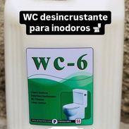 Producto de limpieza - Img 58199732