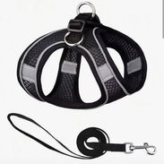 Arnés / Pechera para perros - Img 55085384