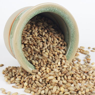 Qingke Dried Barley Rice High-Quality Wholesale Barley Rice Supplier - 6/6
