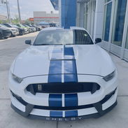Shelby Cobra GT350 - Img 56555958