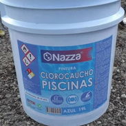 Pintura de piscina original - Img 55155179