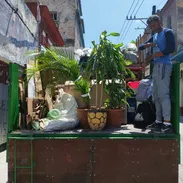Servicio de mudanzas en la Habana - Img 55949540