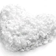 Paquetes de 125 pétalos blancos(DV,) - Img 57578316