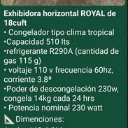 Exhibidoras de varios pies 18, 20 y 12.7 pies ($900, $975 y $645) - Img 55830609