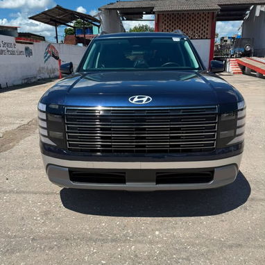 Hyundai palisade - 3/5