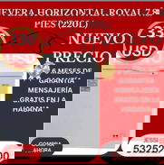 ‼️ NEVERA HORIZONTAL ROYAL 7.8 PIES (220L) CON 6 MESES DE GARANTÍA‼️ - Img 49394724
