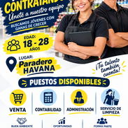 Oferta de empleos - Img 57372069