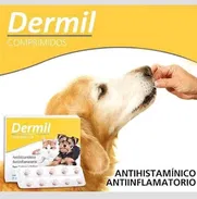 Dermil . Tratamiento sustituto del apoquel - Img 49004500