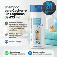 Shampoo para perros cachorros - Img 56891638