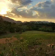 Descubre la Magia de Viñales en Villa Coco Solo,5 habitaciones para la familia - Img 49041886