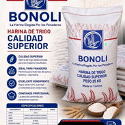Contenedor de Harina Bonoli 25 Kg - Img 56890606