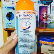 Shampoo 240ml de Clorhexidina - Img 54904692