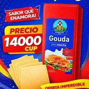 Queso Gouda por cantidad - Img 56124941