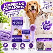 Set de Champú en Seco con Cepillo Silicona. - Img 58454837