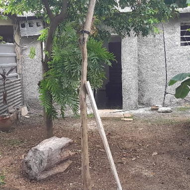 Se venden dos casas en el reparto Trébol. Calabazar. Por la entrada al zoológico nacional. - 10/10