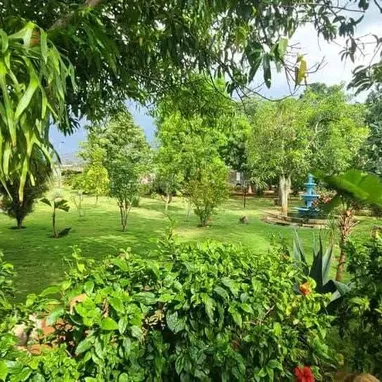 Finca lujo 4000 m2 de terreno en propiedad - 7/10