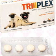 TRIPLEX - Img 52892710