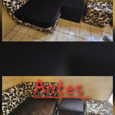 🚨 ¡ADIÓS A LAS PLAGAS! SERVICIO PROFESIONAL GARANTIZADO POR MIPYME 🚨 ​ - 3/6
