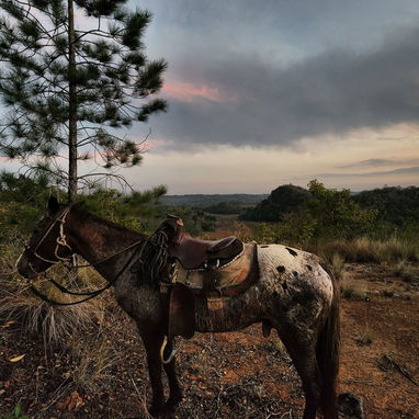 ⛰️ VIÑALES, DE OTRA MANERA 🐴 Naturaleza, cultura y un secreto que casi nadie conoce — lejos del circuito de siempre. - Img 127090576